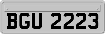 BGU2223