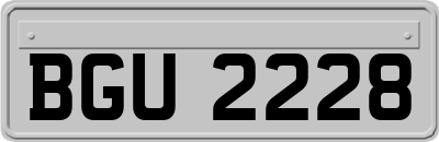 BGU2228