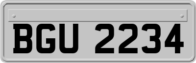 BGU2234
