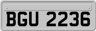 BGU2236