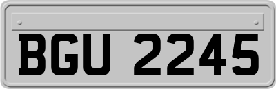 BGU2245