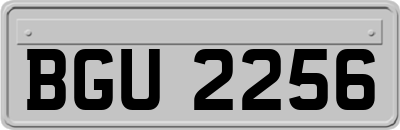 BGU2256
