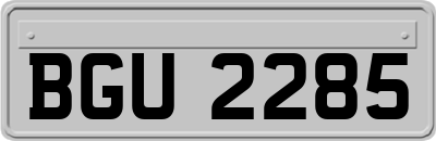 BGU2285