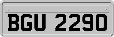 BGU2290