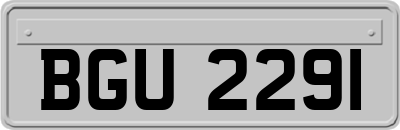 BGU2291