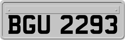 BGU2293