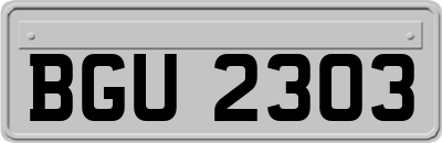 BGU2303