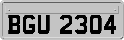 BGU2304