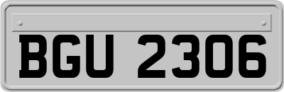 BGU2306