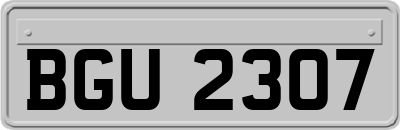 BGU2307
