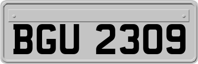 BGU2309