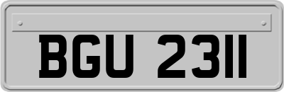 BGU2311