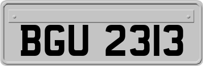 BGU2313