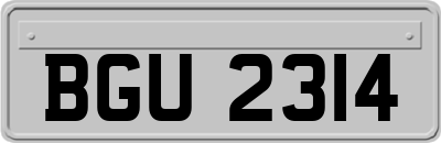 BGU2314