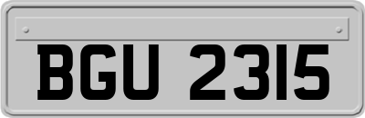 BGU2315