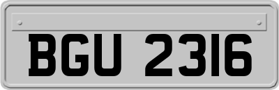 BGU2316
