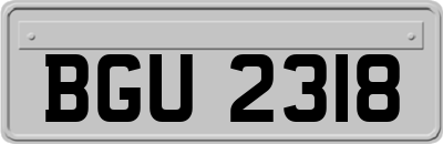 BGU2318