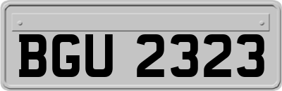 BGU2323