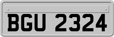 BGU2324