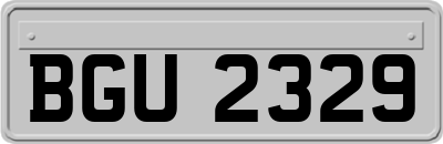 BGU2329