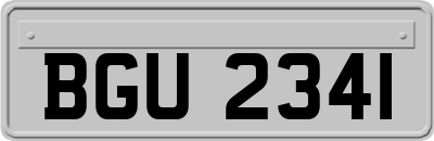 BGU2341