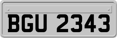 BGU2343