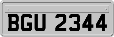 BGU2344