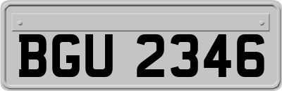 BGU2346