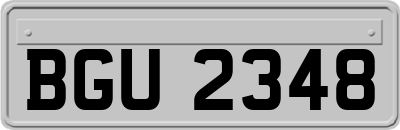 BGU2348