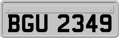 BGU2349