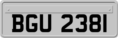 BGU2381