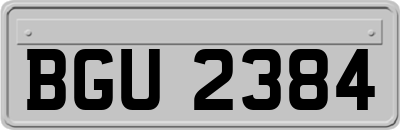 BGU2384