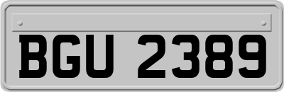 BGU2389