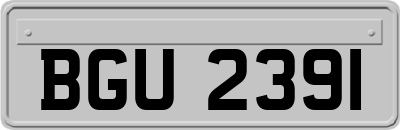 BGU2391