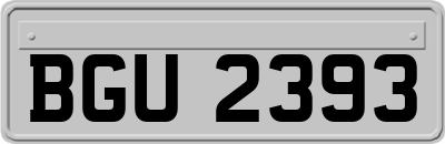BGU2393