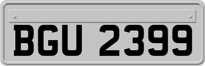 BGU2399