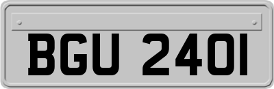 BGU2401