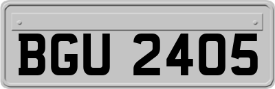 BGU2405