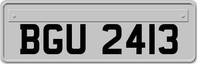 BGU2413