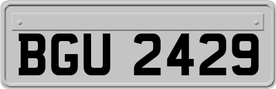 BGU2429