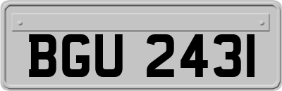 BGU2431