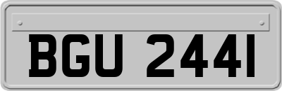 BGU2441