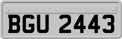 BGU2443