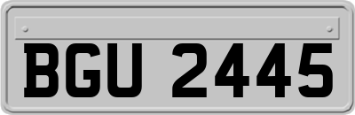 BGU2445