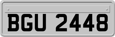 BGU2448