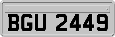 BGU2449