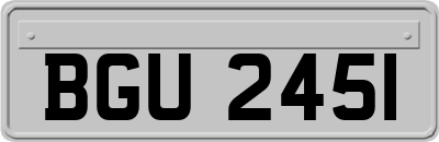 BGU2451