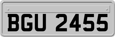 BGU2455
