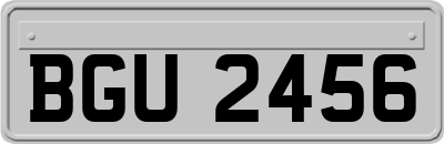 BGU2456