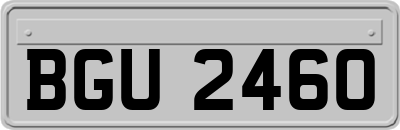 BGU2460